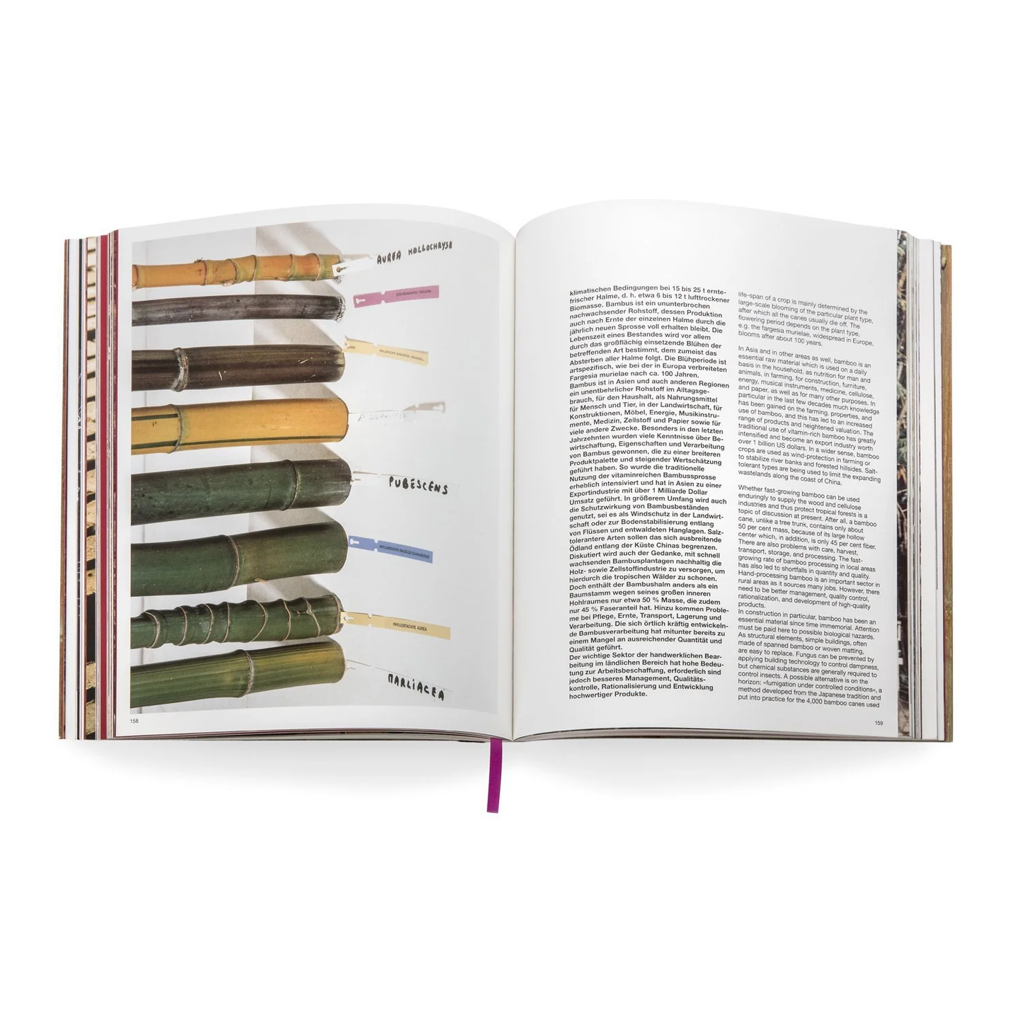 VDM Publication | Grow Your own House: Simón Vélez and the Bamboo Architecture