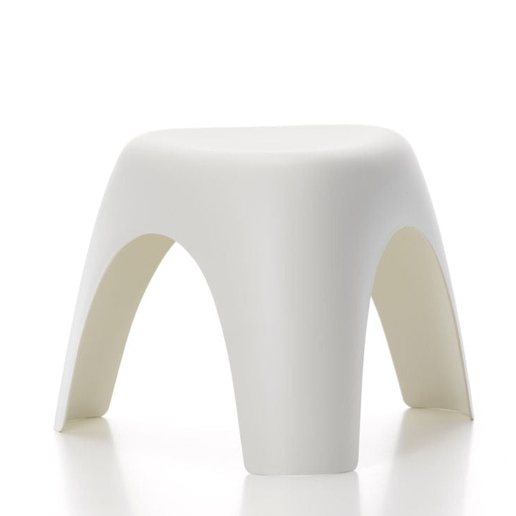 Elephant stool