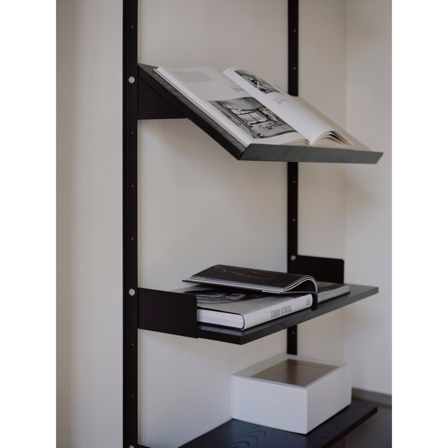 Standard Shelf Kit